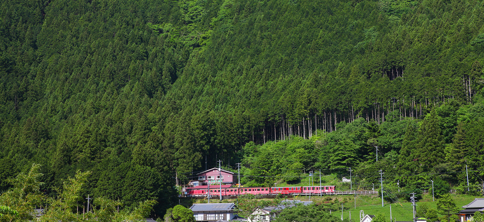 接岨峡温泉 森林露天風呂